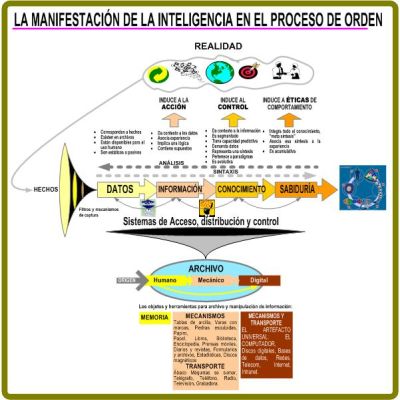 Mapa MANIFESTACIÓN DE LA INTELIGENCIA EN EL PROCESO DE ORDEN