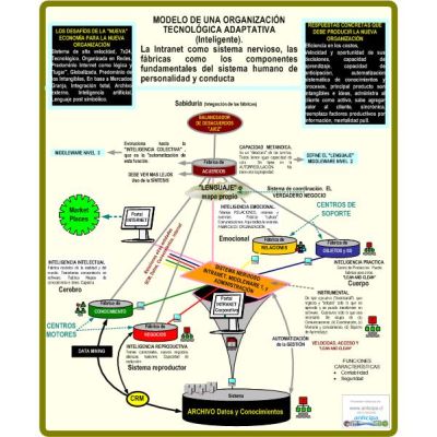 Mapa MODELO DE UNA ORGANIZACIÓN TECNOLÓGICA ADAPTIVA