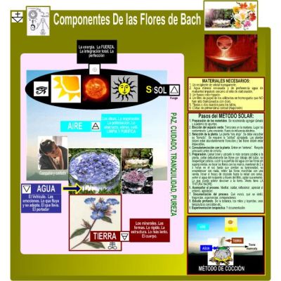Mapa COMPONENTES DE LAS FLORES DE BACH