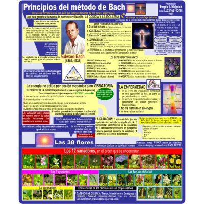Mapa PRINCIPIOS DEL MÉTODO DE BACH