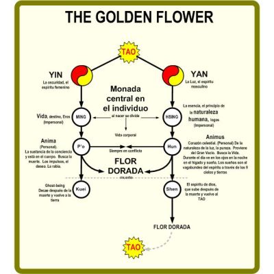 Mapa THE GOLDEN FLOWER