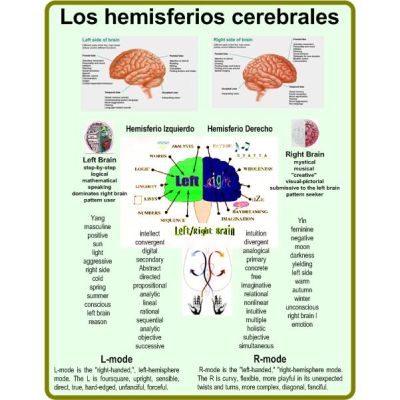 Mapa LOS HEMISFERIOS CEREBRALES
